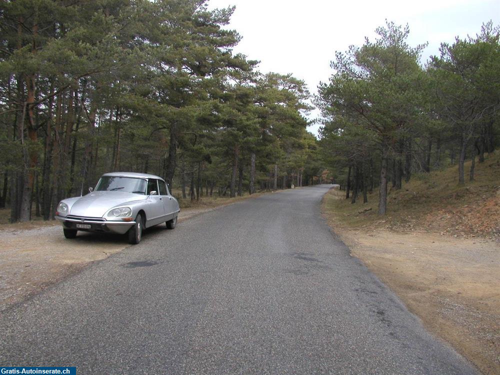 Bild 3: Occasion Citroen DS Super Pallas Limousine