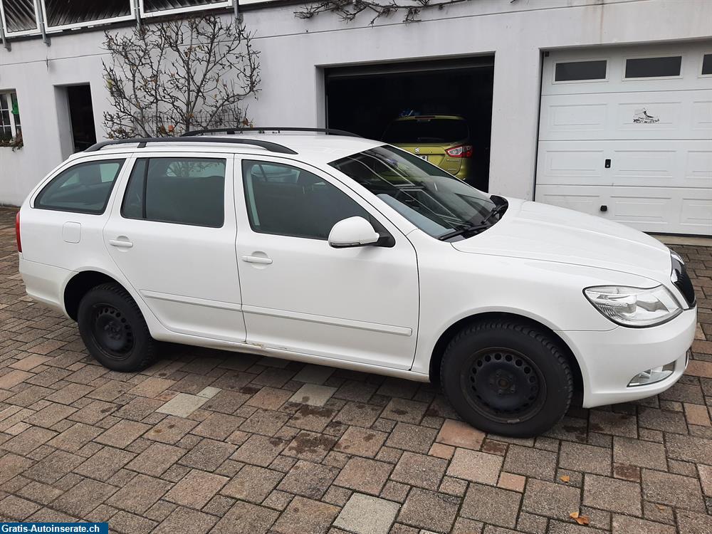 Bild 2: Occasion Skoda Octavia 1.6 Diesel Kombi