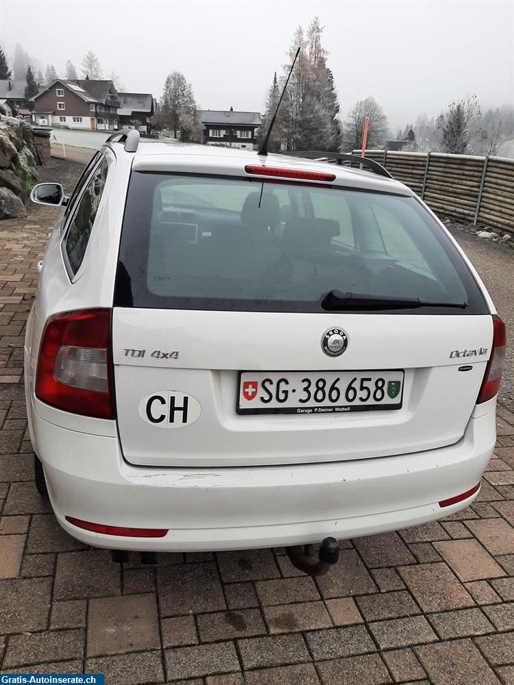 Bild 3: Occasion Skoda Octavia 1.6 Diesel Kombi