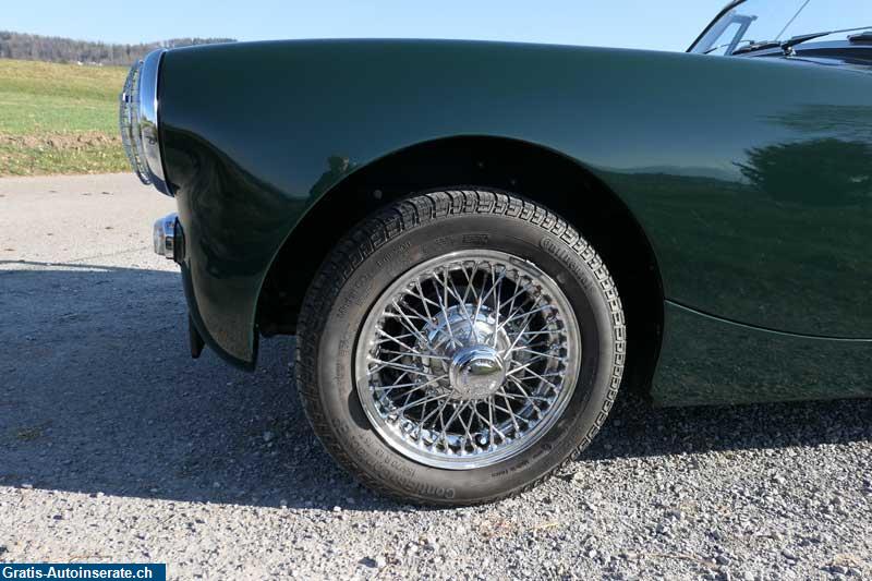 Bild 7: Oldtimer Austin-Healey Sprite Cabrio