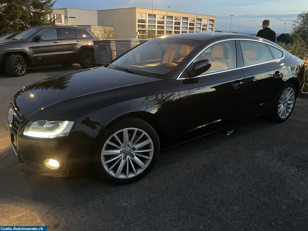 Bild 9: Occasion Audi A5 3.0 TDI quattro Limousine