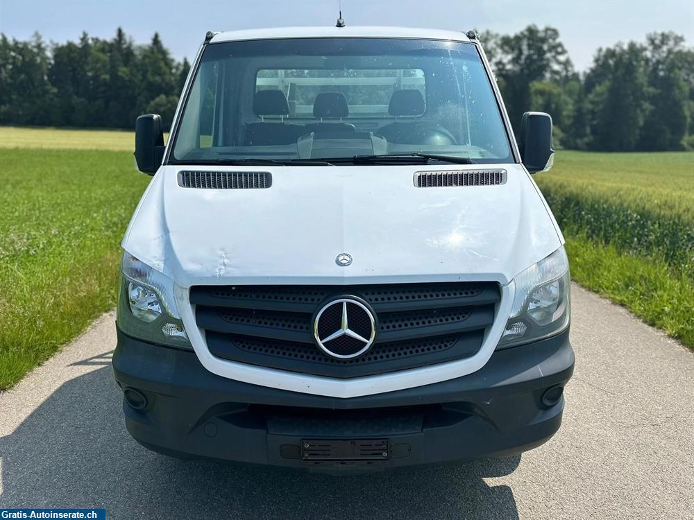 Bild 5: Occasion Mercedes-Benz Sprinter 316 CDI Standard Anhänger