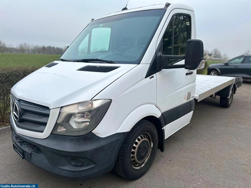 Bild 2: Occasion Mercedes-Benz Sprinter 316 CDI Lang 7G-Tronic Anhänger