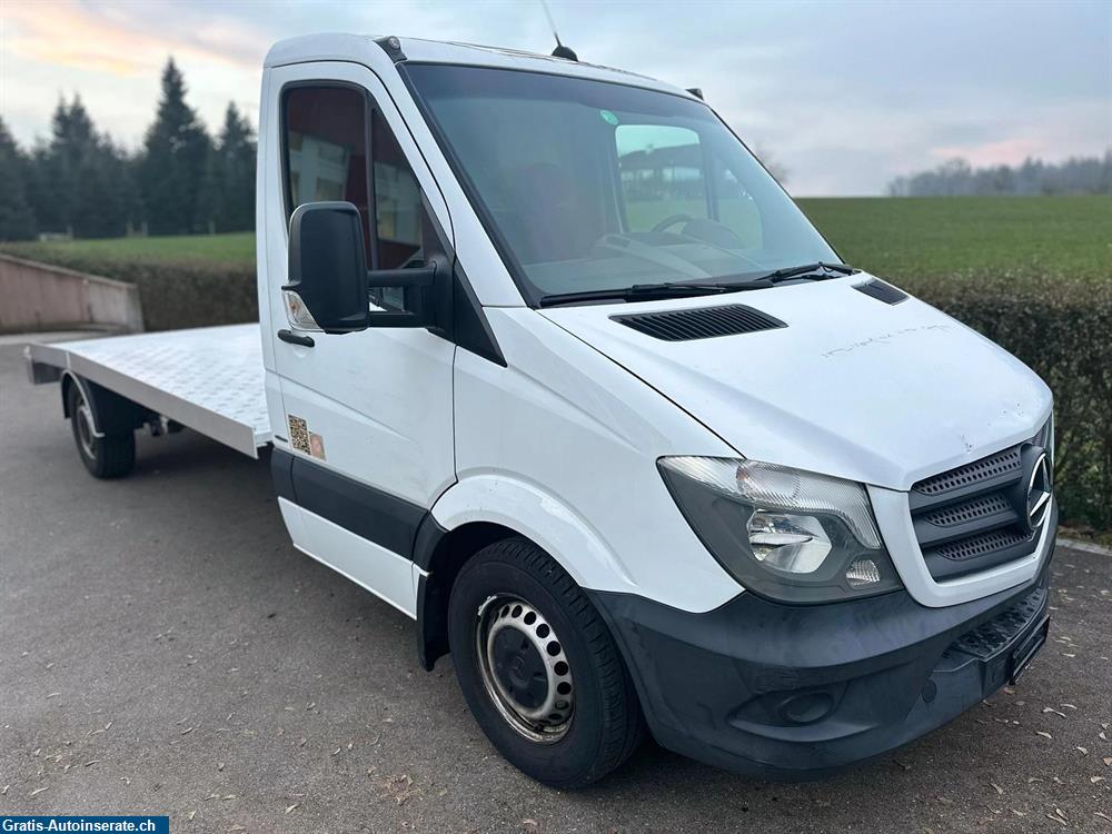 Bild 4: Occasion Mercedes-Benz Sprinter 316 CDI Lang 7G-Tronic Anhänger