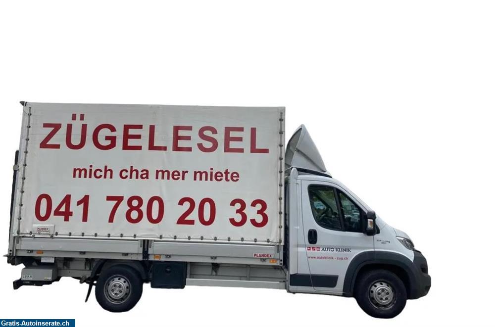 Bild 2: Occasion Fiat Fiat Ducato Lieferwagen