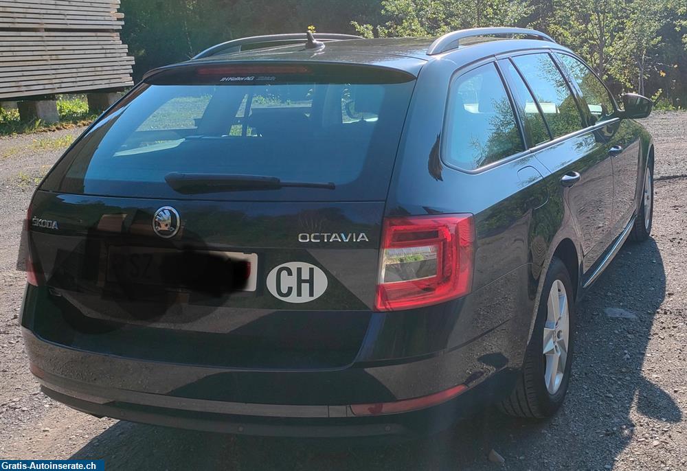 Bild 4: Occasion Skoda Octavia Combi 2.0 TDI DSG Kombi