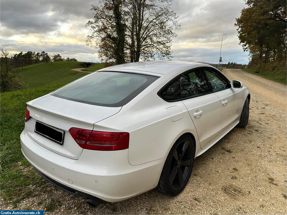 Bild 5: Occasion Audi A5 2.0 TFSI S-Line Quattro Limousine