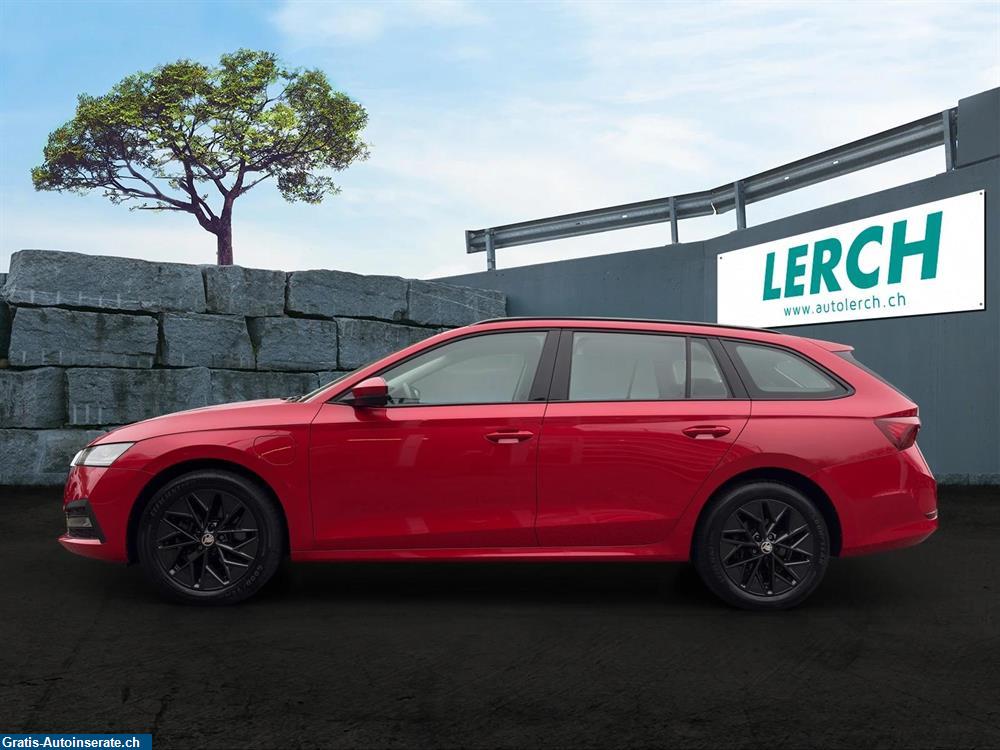 Bild 2: Occasion Skoda Octavia combi 1.4 TSI PHEV Ambition DSG Kombi