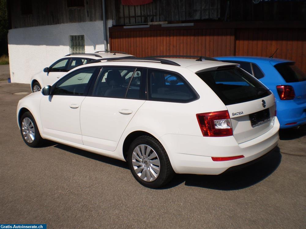 Bild 2: Occasion Skoda SKODA Octavia Combi 1.6 TDI 4x4 110 Ambition Kombi
