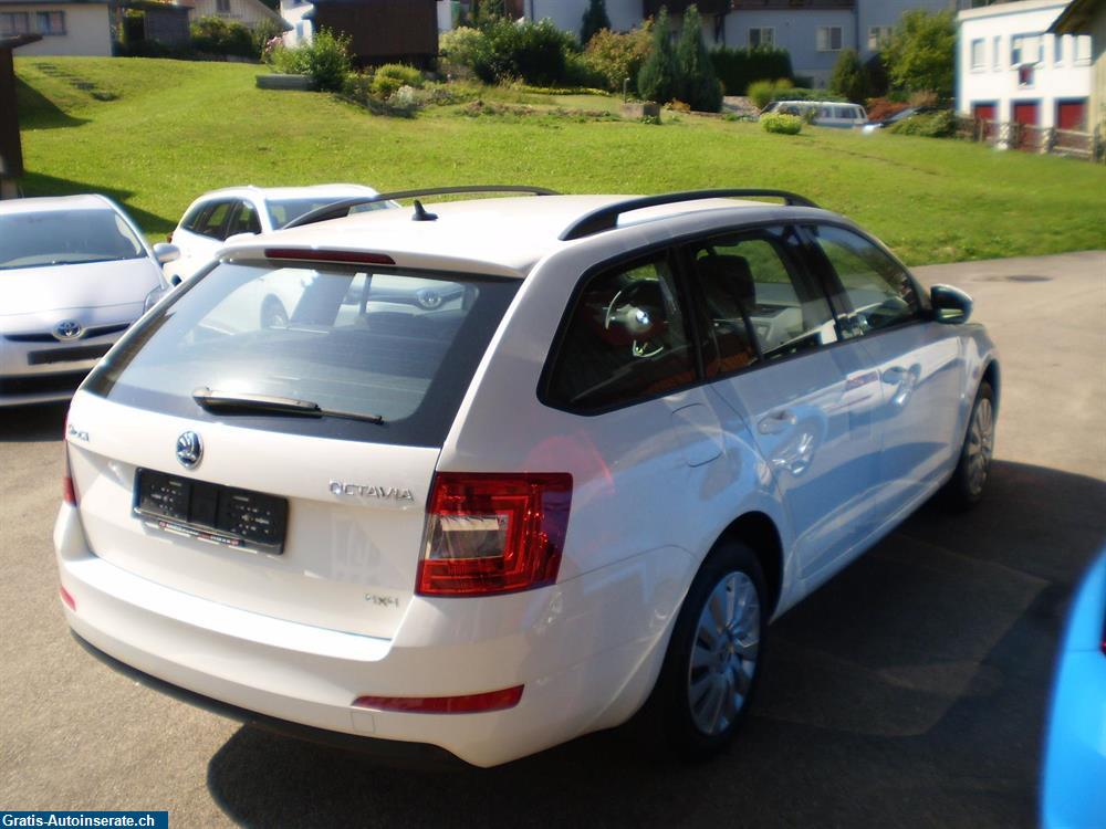 Bild 6: Occasion Skoda SKODA Octavia Combi 1.6 TDI 4x4 110 Ambition Kombi