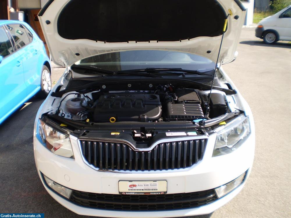 Bild 7: Occasion Skoda SKODA Octavia Combi 1.6 TDI 4x4 110 Ambition Kombi