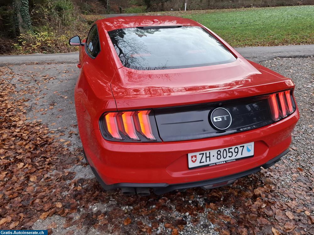 Bild 4: Occasion Ford Mustang 5.0 V8 GT Coupé