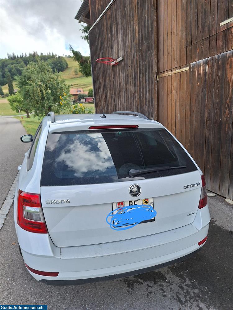 Bild 4: Occasion Skoda Octavia Combi 1.8 Elegance 7-Gang DSG Kombi