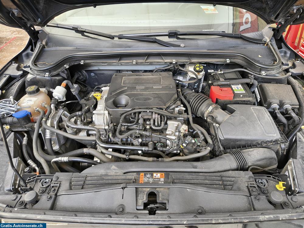 Bild 7: Occasion Ford Ford Focus 1.0 SCTi Limousine